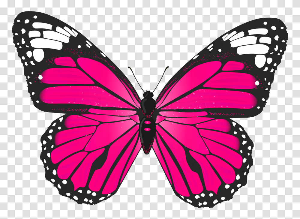Collection Of Butterfly Clipart Transparent Png