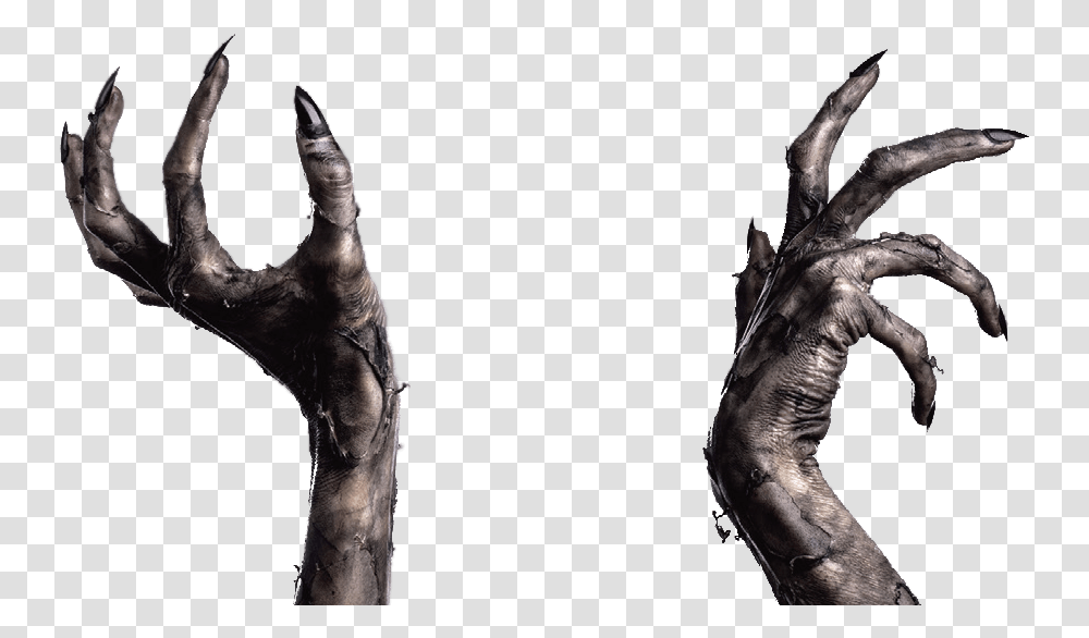 Collection Of Claws Scary Hand, Lizard, Reptile, Animal, Dinosaur Transparent Png