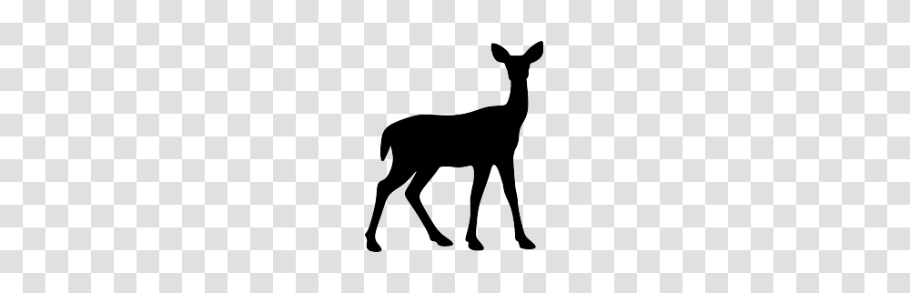 Collection Of Deer And Doe Silhouette Download Them And Try To Solve, Antelope, Wildlife, Mammal, Animal Transparent Png
