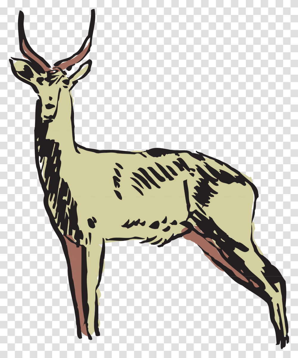 Collection Of Free Antelope Drawing Gazelle Animals Clipart, Wildlife, Mammal, Deer, Impala Transparent Png