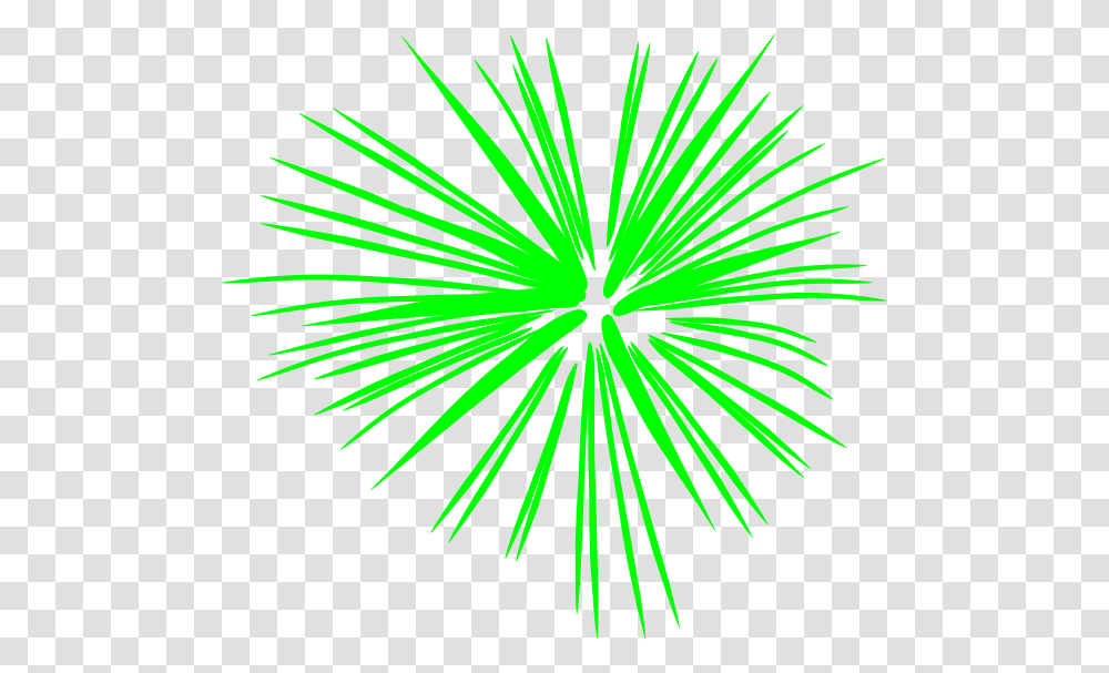 Collection Of Free Background Fireworks Clipart, Nature, Outdoors, Vegetation, Plant Transparent Png