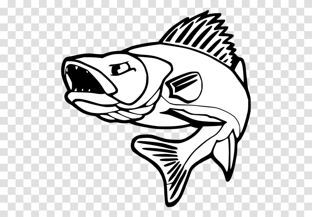 Collection Of Free Bass Drawing Walleye Download On Walleye Fishing, Animal, Perch, Sunglasses, Accessories Transparent Png