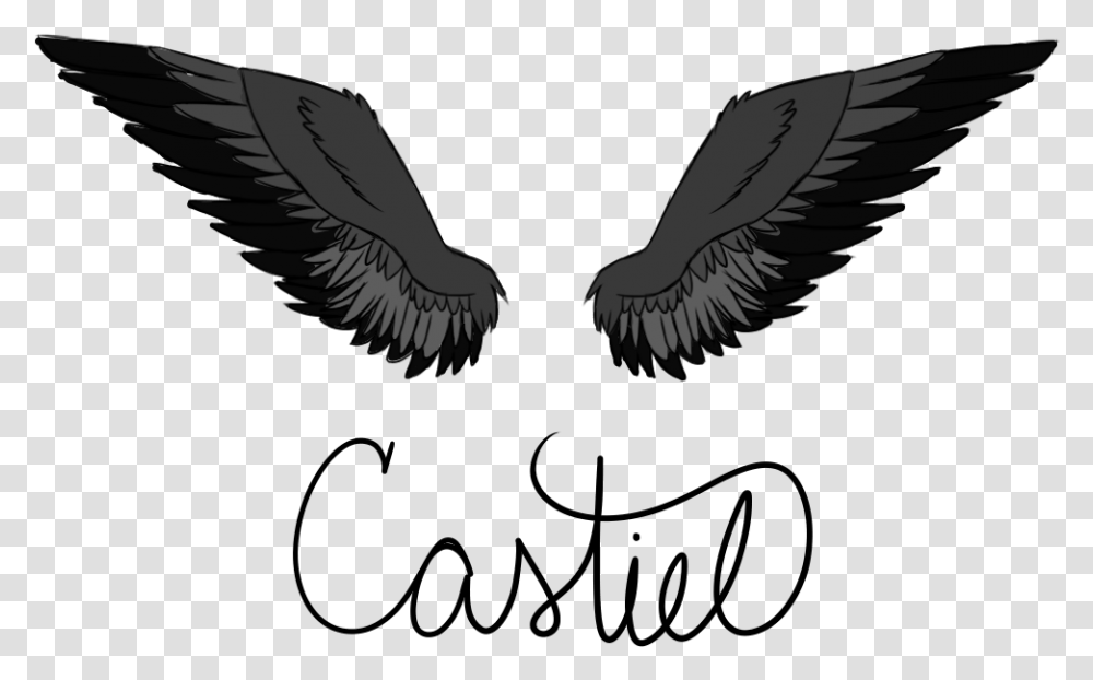 Collection Of Free Castiel Drawing Broken Wing Download Drawing Supernatural Castiel Wings, Eagle, Bird, Animal, Emblem Transparent Png