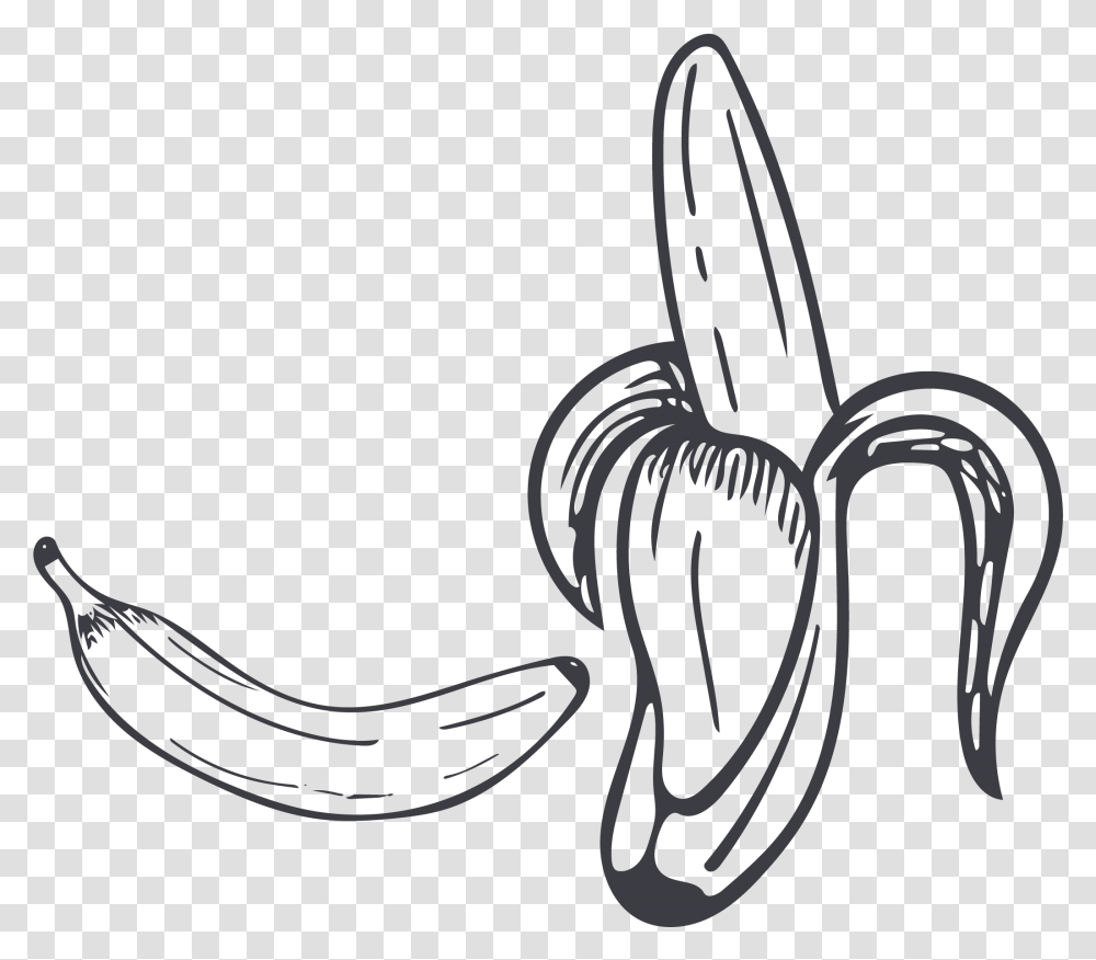 Collection Of Free Contour Drawing Banana Download Black And White Banana, Label, Logo Transparent Png