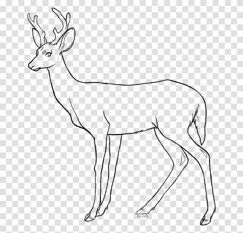 Collection Of Free Fawn Drawing Coloring, Gray, World Of Warcraft Transparent Png