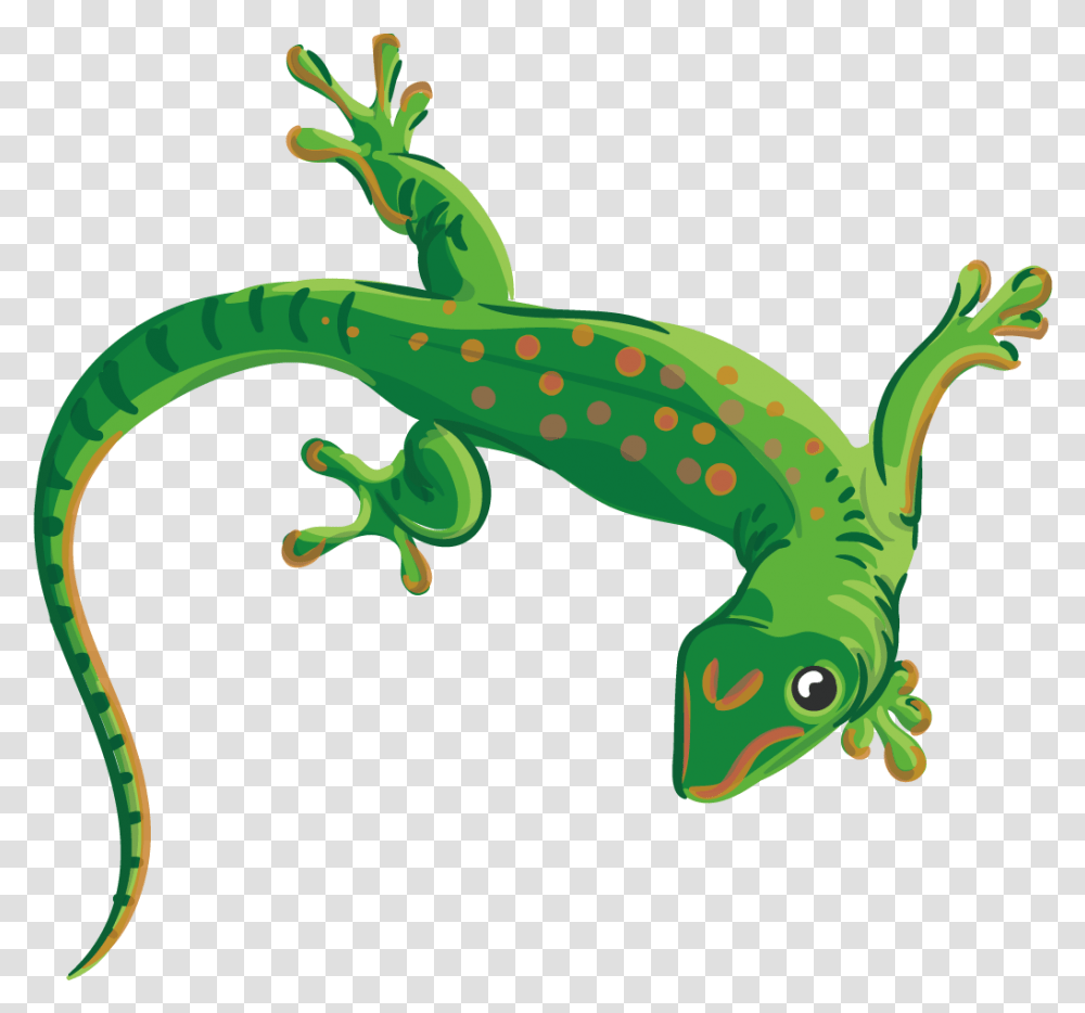 Collection Of Free Lizard Vector Reptile Background Lizard Clipart, Gecko, Animal, Dinosaur, Anole Transparent Png