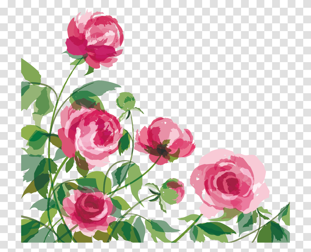 Collection Of Free Peony Vector Cartoon On Cartoon Peony, Plant, Floral Design, Pattern Transparent Png