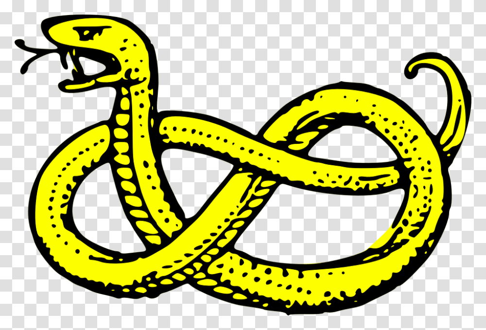 Collection Of Free Poisonous Coat Of Arms Symbols Snake, Reptile, Animal, Knot, Rope Transparent Png