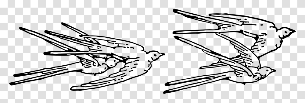 Collection Of Free Swallow Drawing Sketch Download Free Swallows Clip Art, Gray, World Of Warcraft Transparent Png