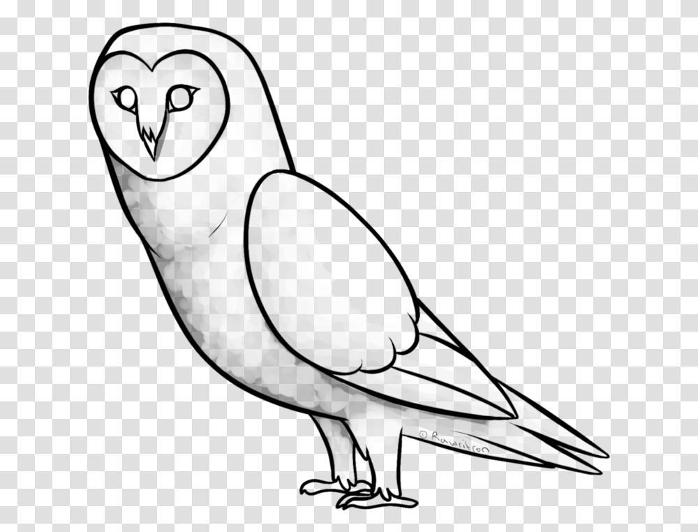 Collection Of Free Tea Drawing Owl Download Sketch, Bird, Animal, Parrot, Beak Transparent Png