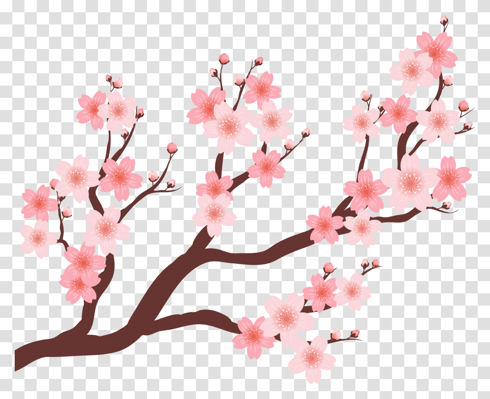 Collection Of Free Vector Trees Plum Blossom Download Cherry Blossom Branch, Plant, Flower Transparent Png