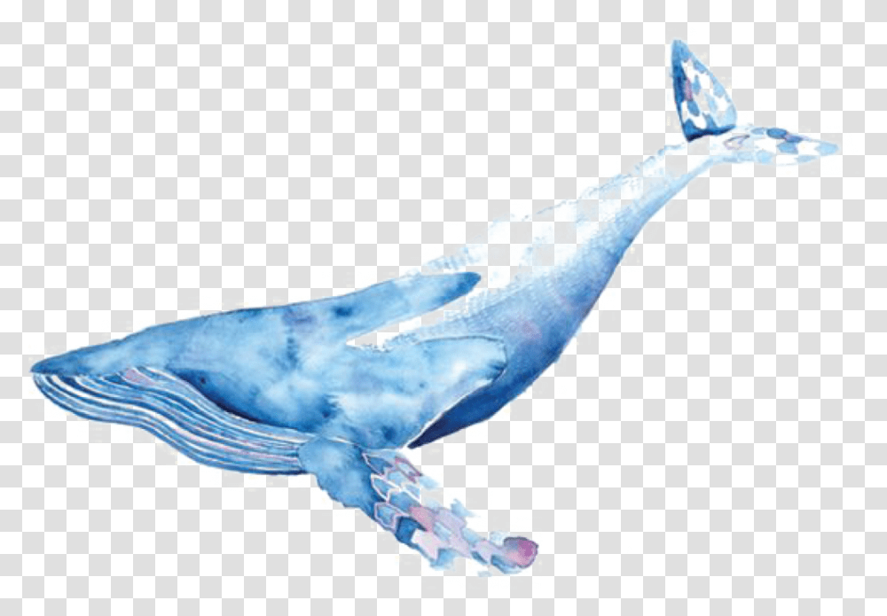 Collection Of Free Whale Whale Watercolor, Animal, Sea Life, Mammal, Fish Transparent Png