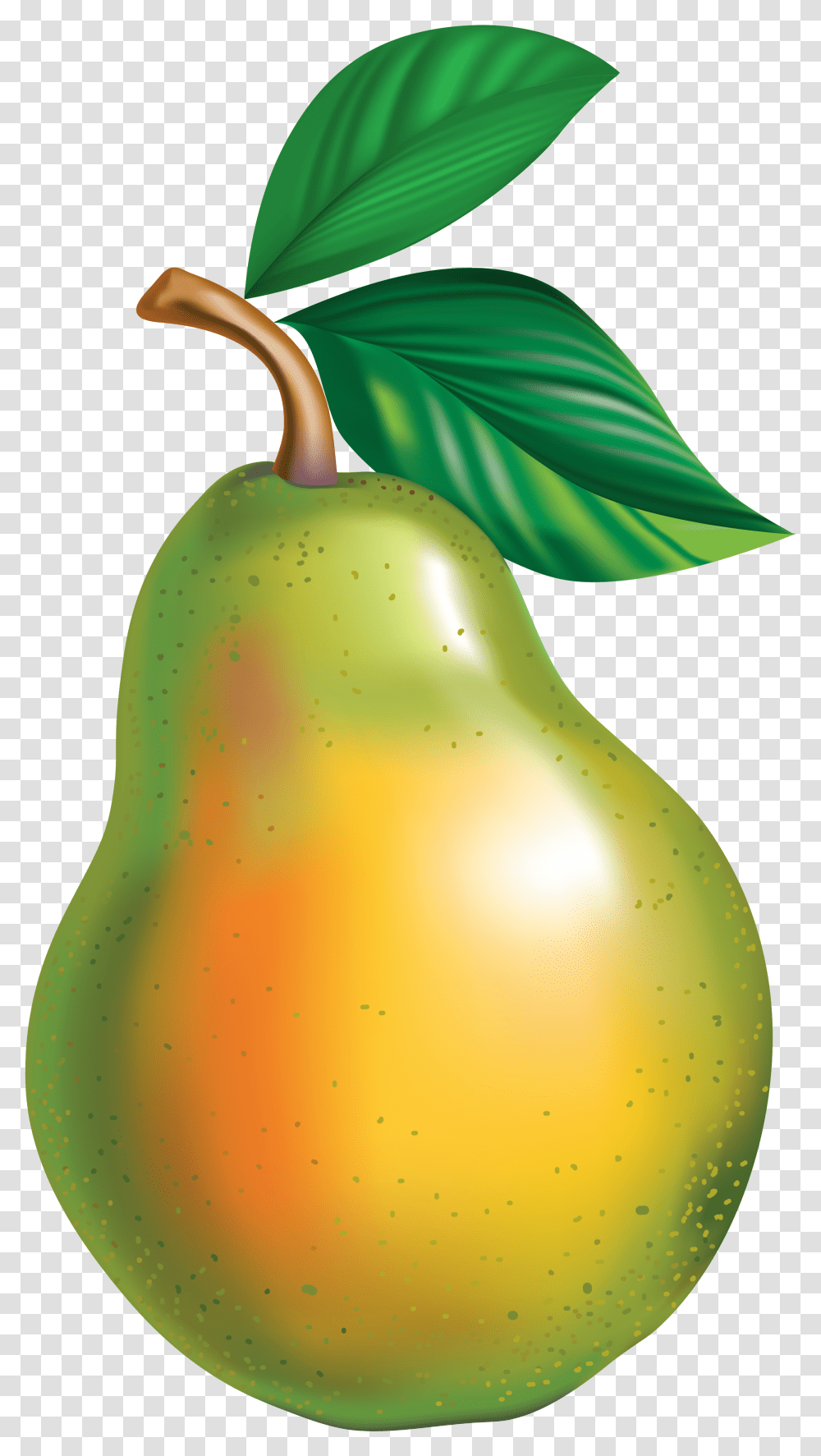 Collection Of Fruit Clipart No Background Pear Clipart, Plant, Food, Egg, Bird Transparent Png