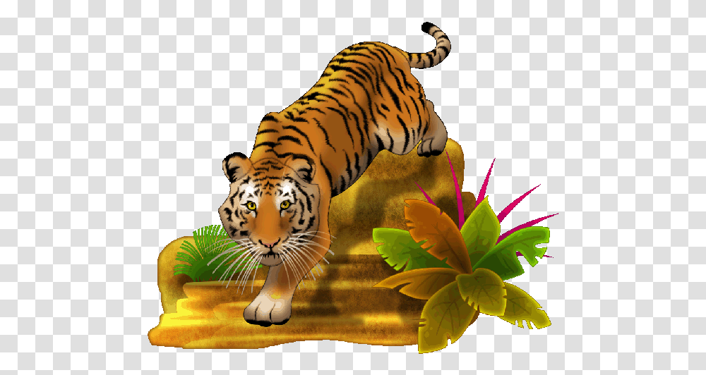 Collection Of Full Hd Tiger, Wildlife, Mammal, Animal Transparent Png