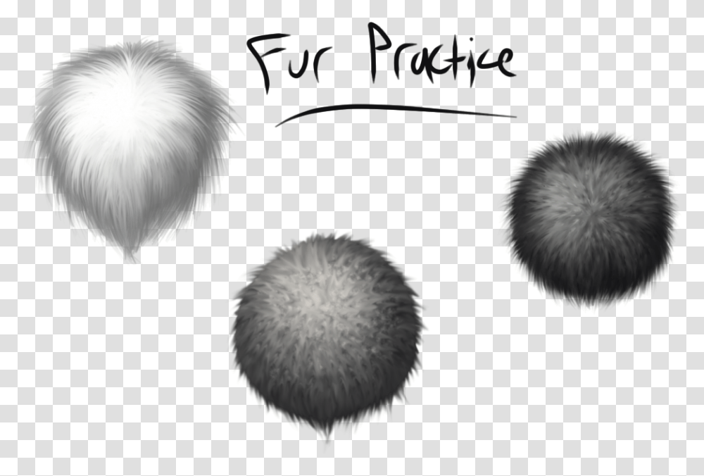 Collection Of Fur Drawing Texture Fur Drawing Texture, Plant, Flower, Animal, Nature Transparent Png
