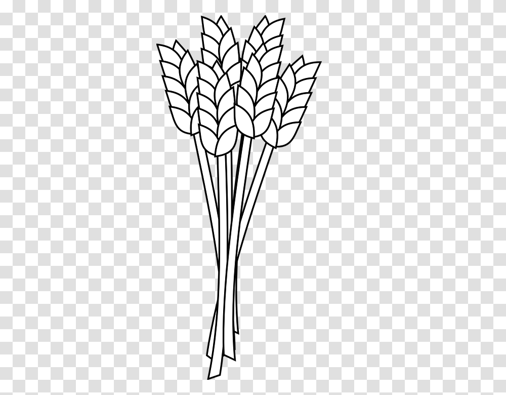 Collection Of Grain Drawing Download Them And Try To Solve, Lamp, Plant, Flower Transparent Png