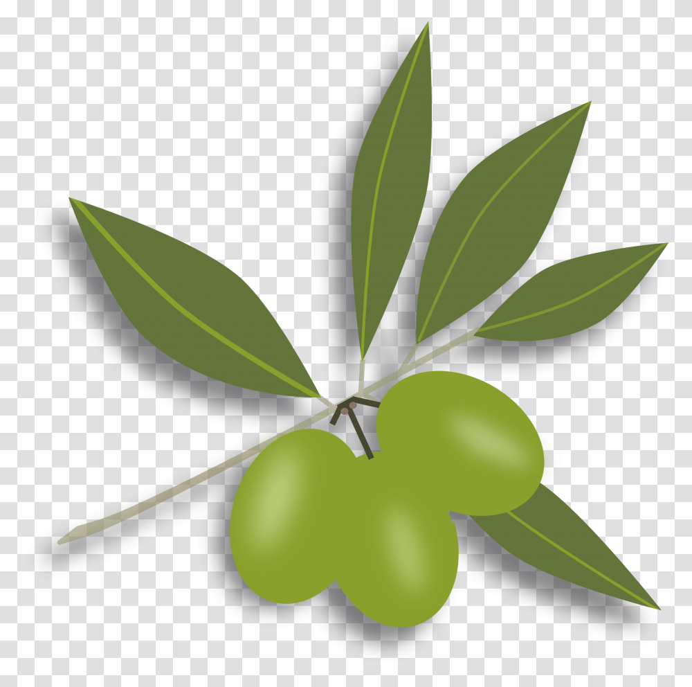 Collection Of Green Olive Clipart, Plant, Leaf, Fruit, Food Transparent Png