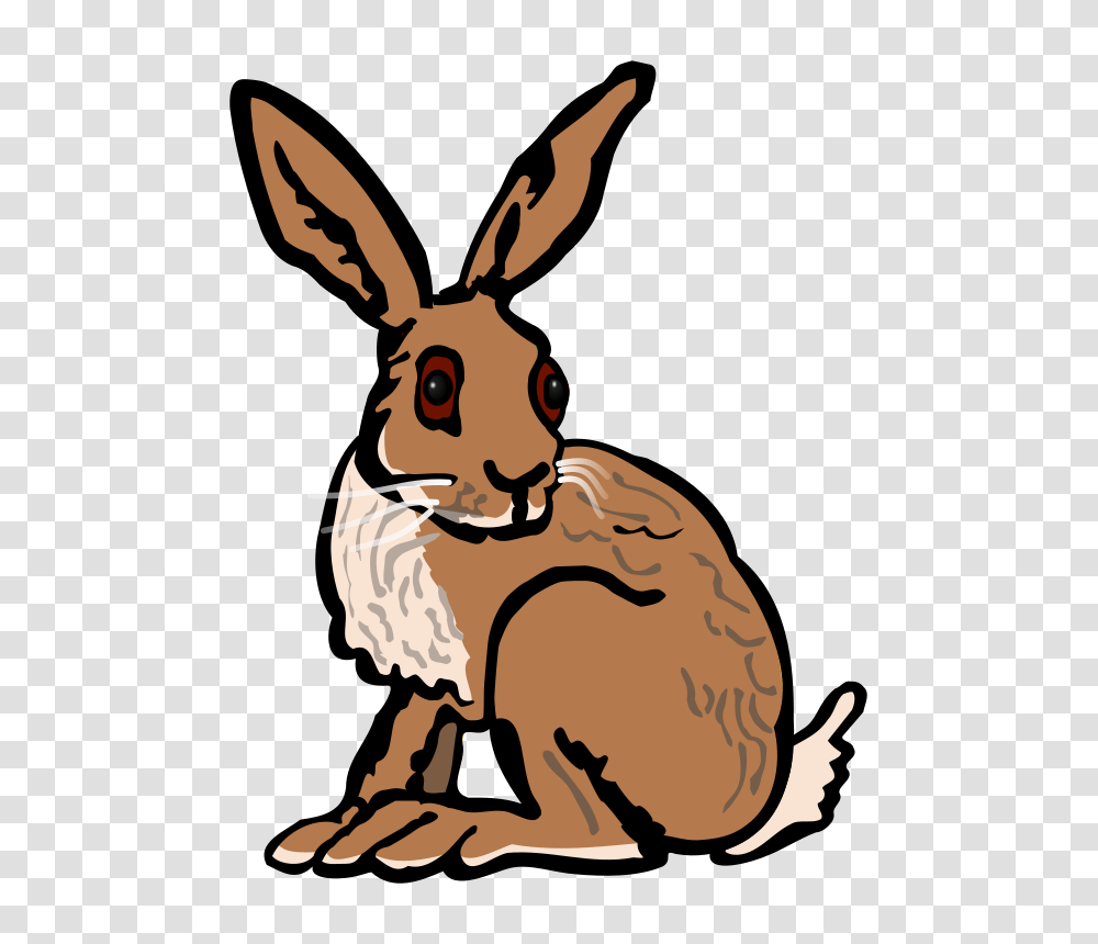 Collection Of Hares Clipart, Kangaroo, Mammal, Animal, Wallaby Transparent Png