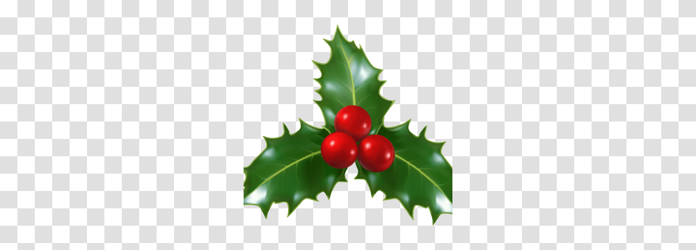 Collection Of Holly Clip Art Free Download Clipart, Plant, Leaf, Fruit, Food Transparent Png