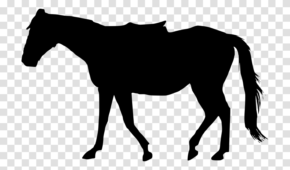 Collection Of Horse Silhouette Download Them And Try To Solve, Mammal, Animal, Wildlife, Stencil Transparent Png