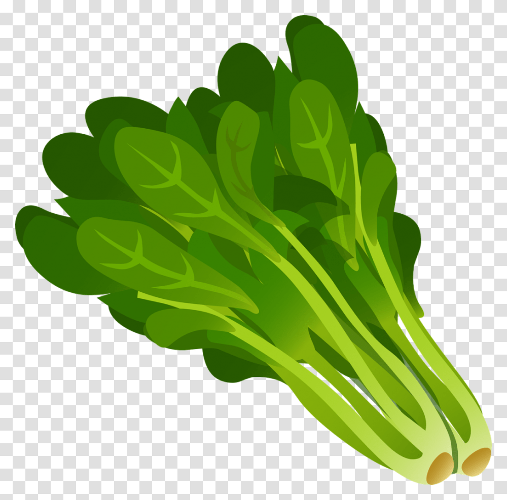 Collection Of Leaves Lettuce Clipart, Plant, Vegetable, Food, Spinach Transparent Png