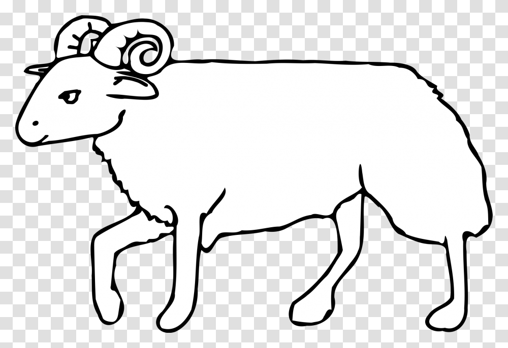 Collection Of Lion Outline Cliparts Omalovnky K Vytisknut Beran, Sheep, Mammal, Animal, Stencil Transparent Png