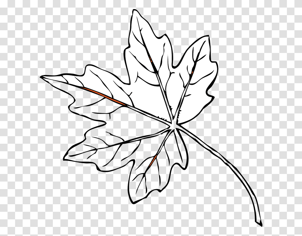 Collection Of Outline Of A Tree Drawing Maple Leaves Black And White, Leaf, Plant, Maple Leaf Transparent Png
