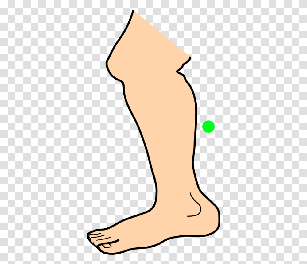 Collection Of Parts Calf Body Part Clipart, Heel, Hand, Ankle, Person Transparent Png
