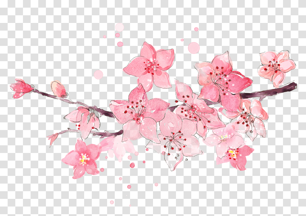 Collection Of Peach Blossom Images Watercolor Cherry Blossoms, Plant, Flower Transparent Png