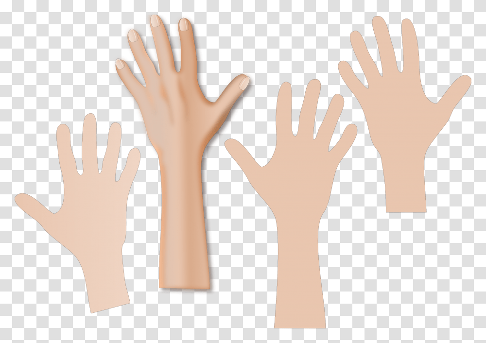 Collection Of Skin World Hand Hygiene Day 2019, Wrist, Person, Human, Finger Transparent Png