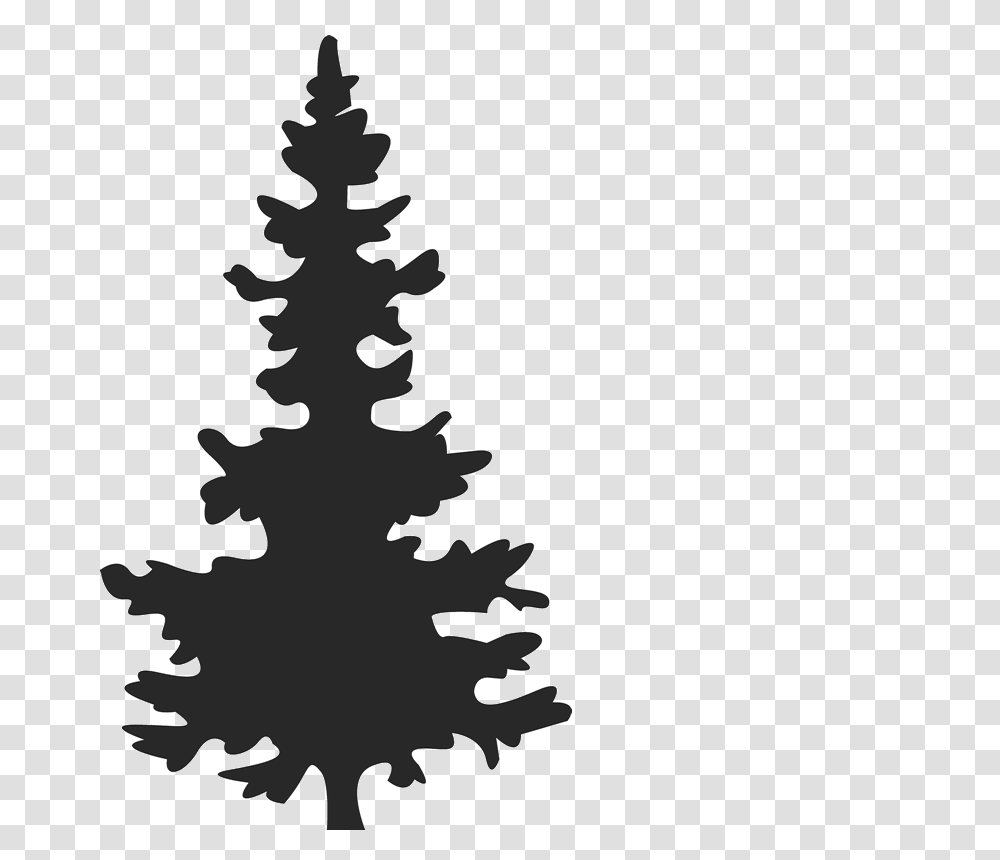 Collection Of Spruce Tree Silhouette Download Them And Try To Solve, Plant, Stencil Transparent Png