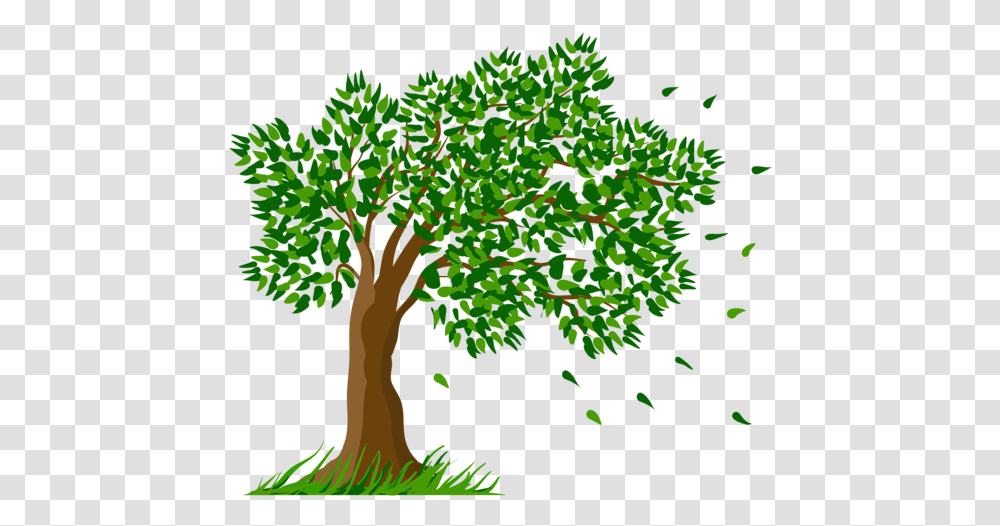 Collection Of Tree And Grass Drawing, Plant, Vegetation, Leaf, Green Transparent Png