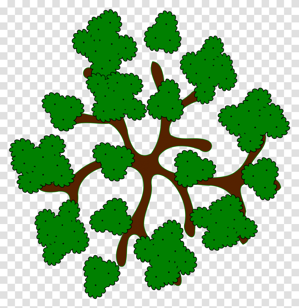 Collection Of Trees Clipart Top View Clip Top Of Tree, Green, Plant, Pattern Transparent Png