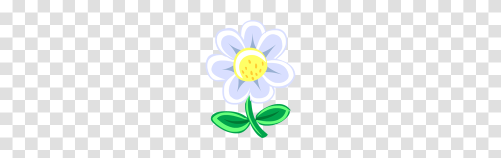 Collection Of White Flower Drawing Download Them And Try To Solve, Plant, Blossom, Daisy, Daisies Transparent Png
