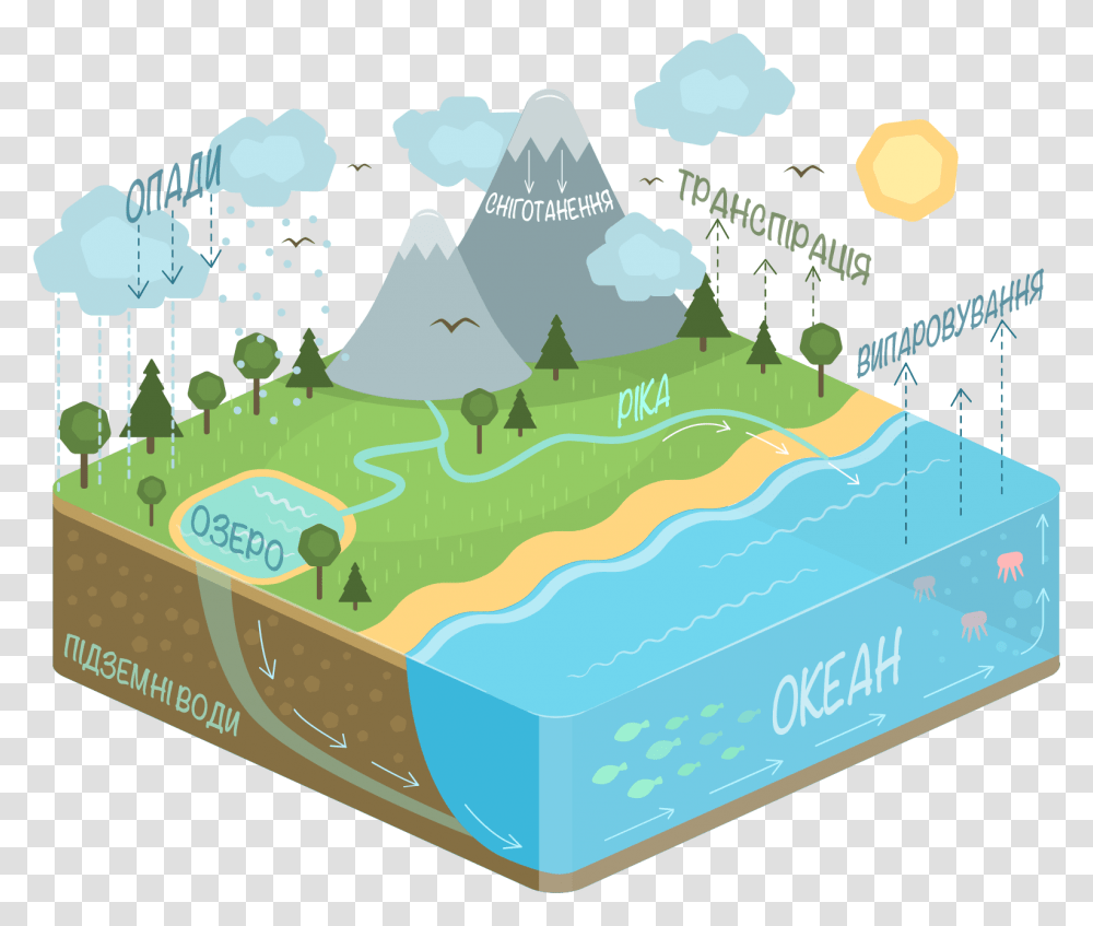 Collection Water Cycle & Free Cyclepng Water Cycle Diagram, Text, Art, Graphics, Label Transparent Png