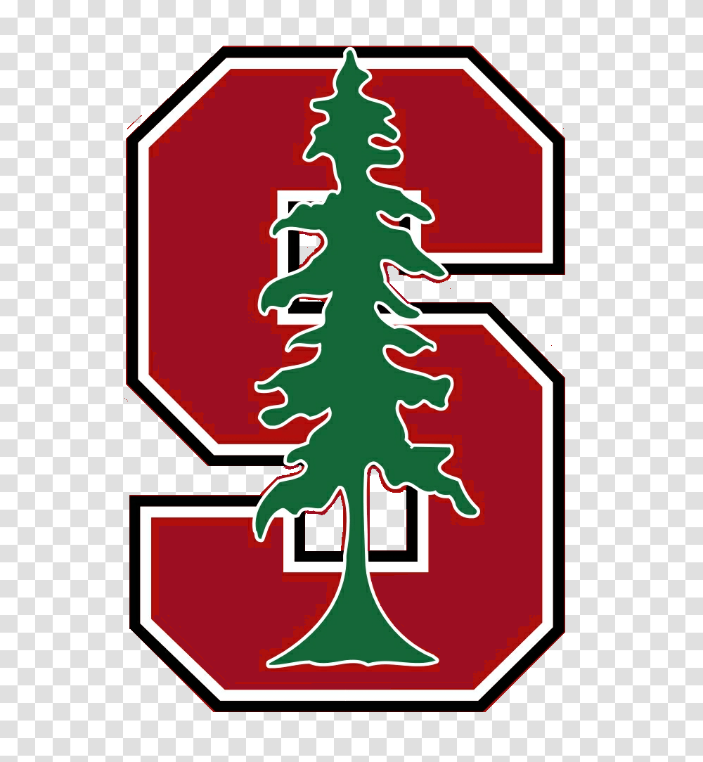 College Guide Cliparts, Tree, Plant, Ornament, Christmas Tree Transparent Png