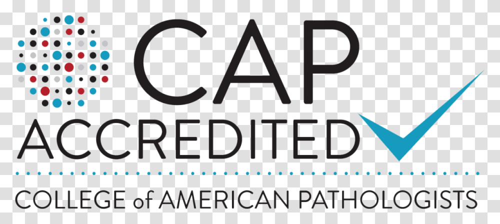 College Of American Pathologists, Word, Label, Alphabet Transparent Png