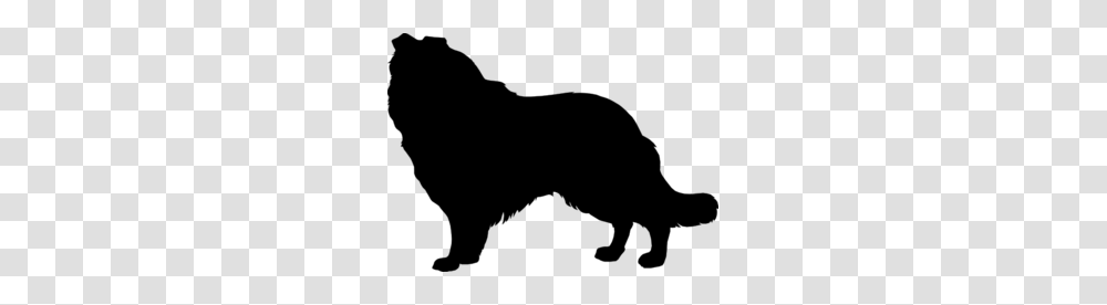 Collie Clipart, Gray, World Of Warcraft Transparent Png