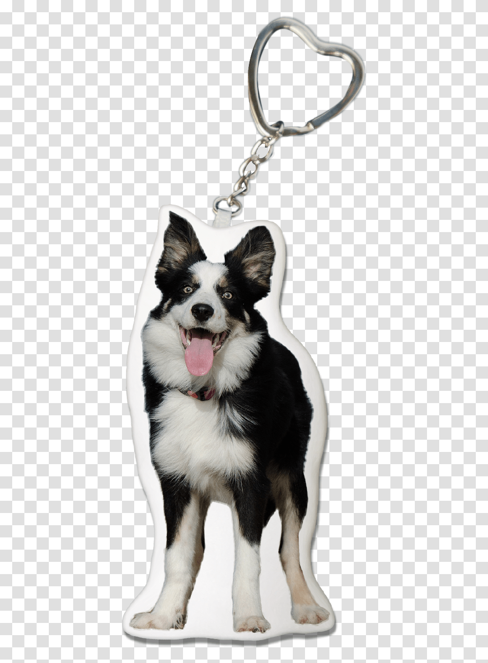 Collie Dog Keychain Keychain, Pet, Canine, Animal, Mammal Transparent Png