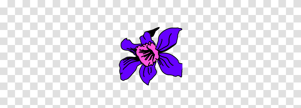 Colombia Clip Arts Colomb A Clipart, Plant, Flower, Blossom, Hibiscus Transparent Png