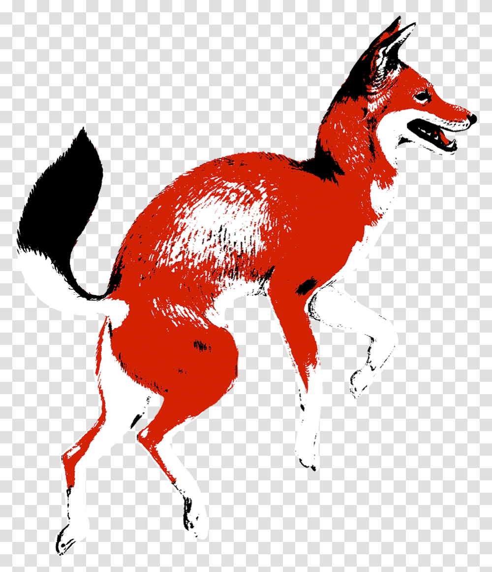 Colombia Jeremias Lasso Geisha Red Fox Coffee Logo, Animal, Kangaroo, Mammal, Wallaby Transparent Png