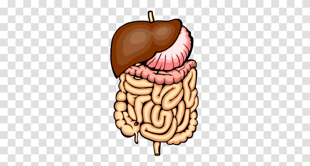 Colon, Teeth, Mouth, Lip, Birthday Cake Transparent Png