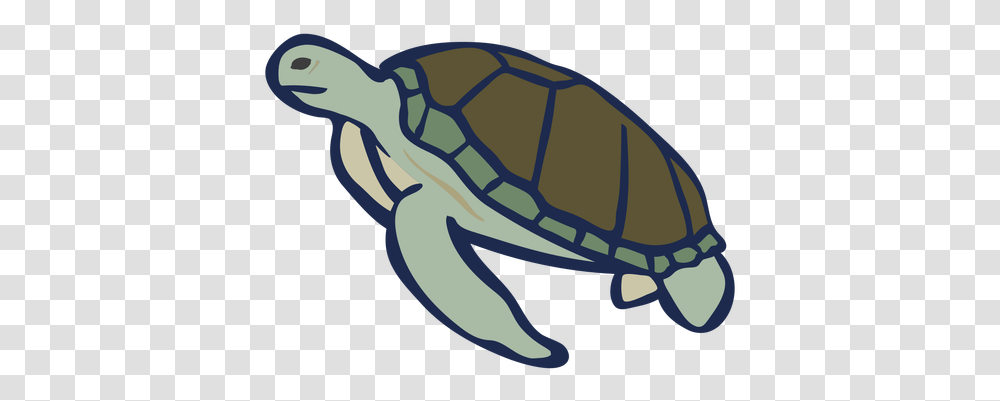 Color Animal Flat Turtle & Svg Vector File Tortuga Color, Tortoise, Reptile, Sea Life, Sea Turtle Transparent Png