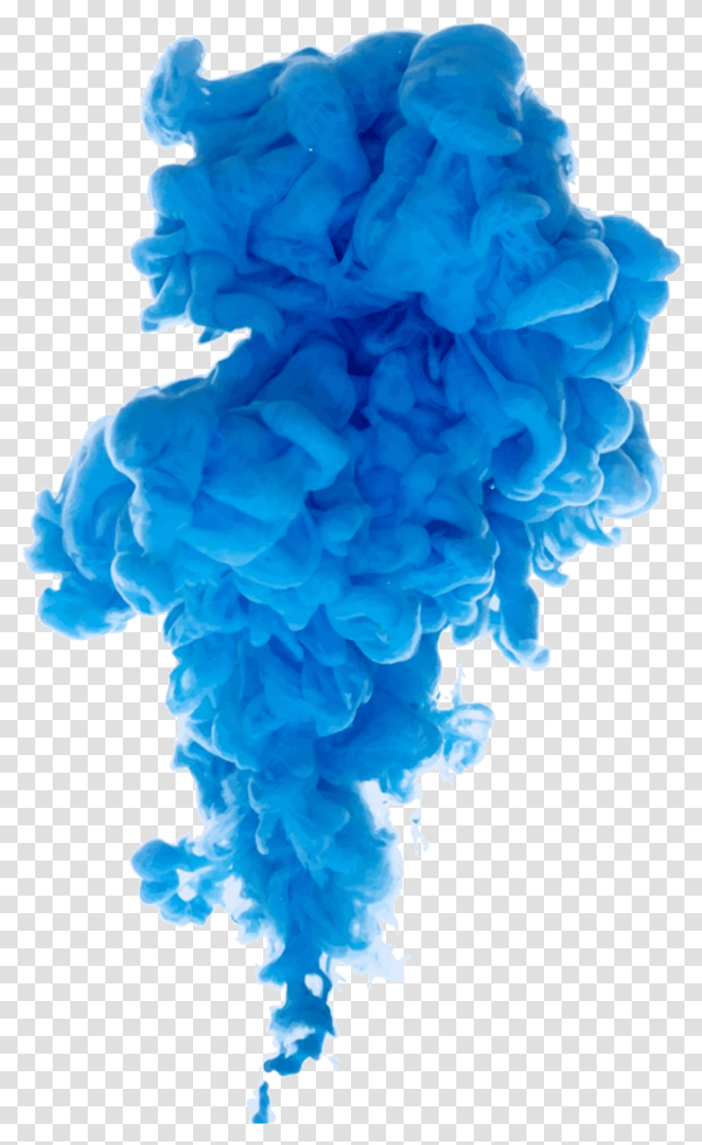 Color Blue Smokeeffect Smoke Smokecolor Bluesmoke Blue Smoke Effect, Rose, Flower, Plant, Blossom Transparent Png