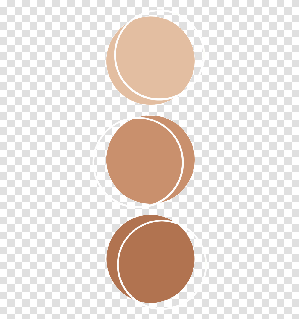 Color Brown Palette Anatomy Aesthetic Kpop Aesthetic Color Palette Circle Transparent Png