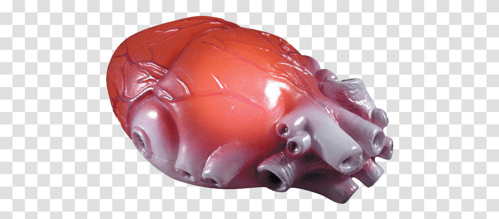 Color Changing Realistic Heart Parts Of Body, Piggy Bank, Figurine Transparent Png