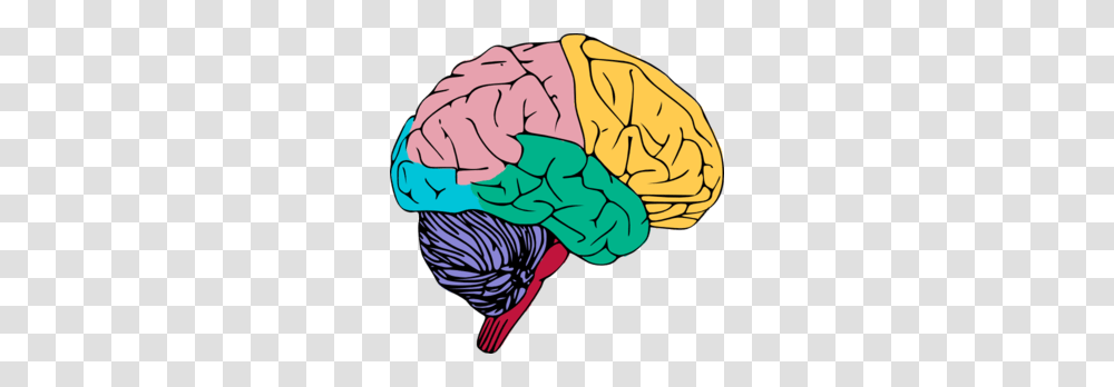 Color Clipart Brain, Apparel, Nature, Outdoors Transparent Png