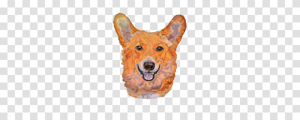 Color Dogs Mammal, Animal, Coyote, Canine Transparent Png
