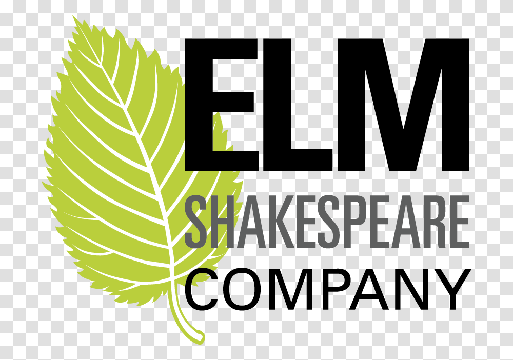 Color Elm Logo Makati Business Club, Plant, Leaf, Vase Transparent Png