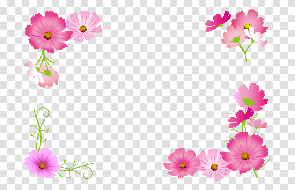 Color Full Days, Plant, Petal, Flower, Daisy Transparent Png